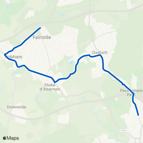 Cardinal Buses All Saints School - Fairmile Lane map