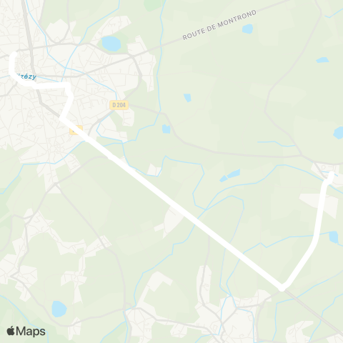 ARA Cars Région Loire Montbrison - Précieux map