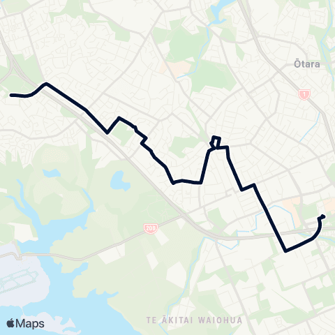 Auckland Transport 313 map