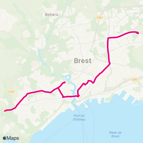 Bibus Bus Substitution Tramway map