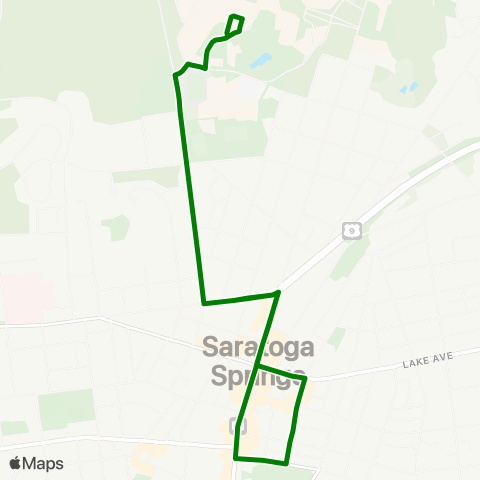 CDTA Skidmore - Wilton Mall via Excelsior map