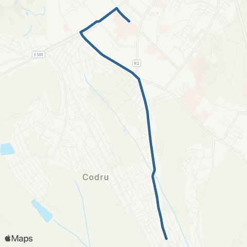 PUA Or. Codru, Str. Potirnichii - Str. Academiei map