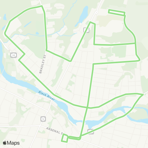 CitiBus Northside Loop map