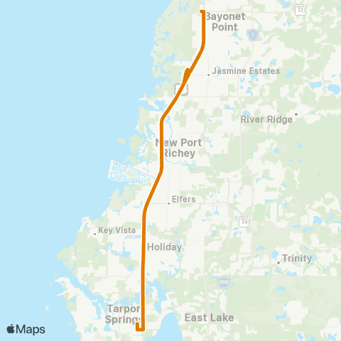 GoPasco SR 52 / US 19 (Bayonet Point) – Huey Ave / Tarpon Ave map