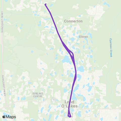 GoPasco Central Blvd / Land O Lakes Blvd – Dale Mabry Hwy / Walmart map