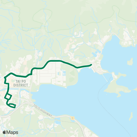 Green Minibus Services Tai Po Market Sta - Shan Liu (Circular) (Supplementary Service) map