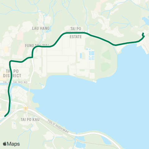 Green Minibus Services Wong Yue Tan (Lok Sin Village) - Tai Po Market Sta (Supplementary Service) map