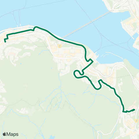 Green Minibus Hki - 65 map