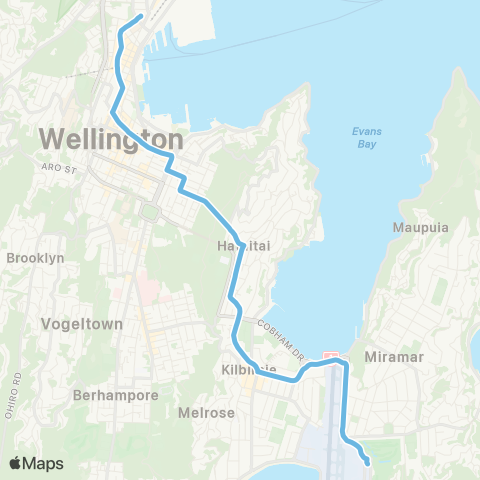 Metlink Airport Express (Wellington - Airport) map
