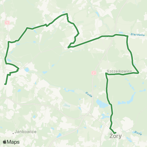 MZK Jastrzębie-Zdrój Żory Centrum Przesiadkowe - Szczejkowice - Rybnik Śródmieście Dworzec Kolejowy map