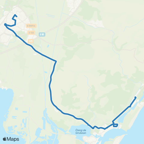 Citibus  map
