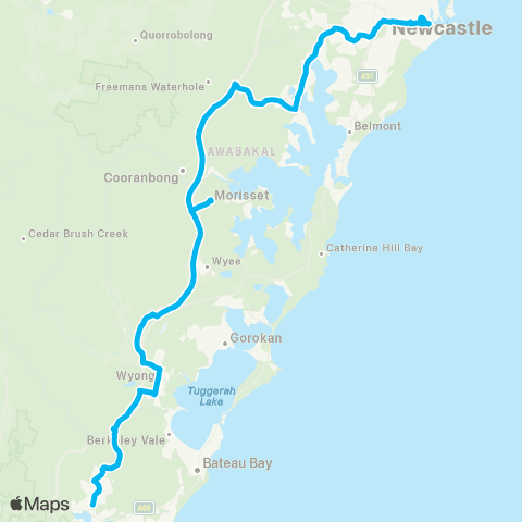Temporary buses Gosford, Tuggerah, Wyong, Morisset, Fassifern, Cardiff, Broadmeadow, Hamilton, then Newcastle map