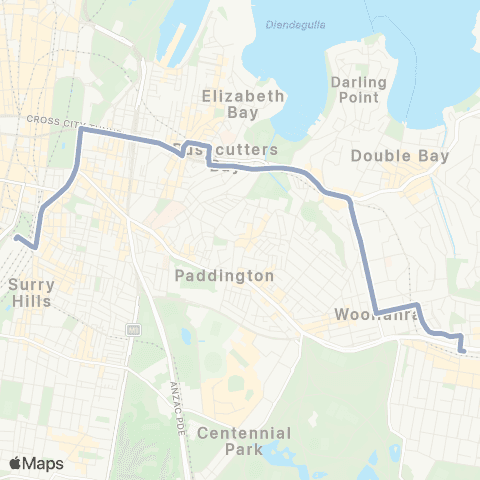 Temporary Buses Bondi Jct, Edgecliff, Kings Cross, then Central and return map
