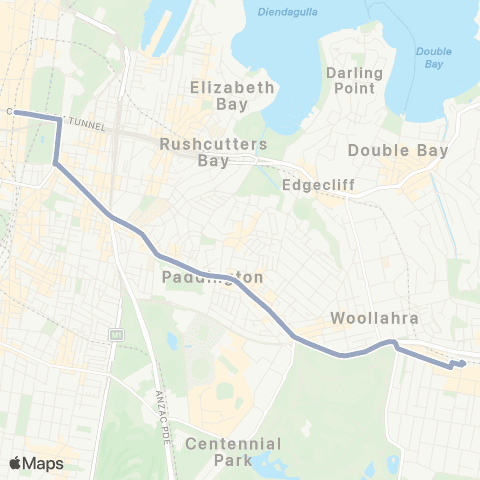 Temporary Buses Bondi Jct, then Town Hall and return map