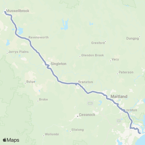 Temporary Buses Muswellbrook, All to Maitland, then Victoria St All to Beresfield, then Warabrook All to Newcastle and return map