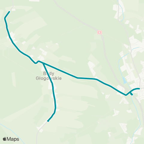 PKS w Rzeszowie Głogów Młp. - Budy Głogowskie map