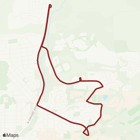 Pullman Transit Cougar Express 2 map