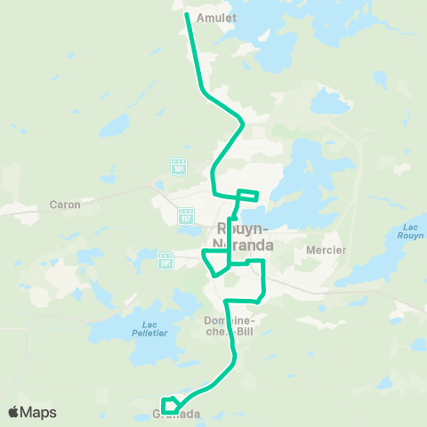 L'autobus de ville Vert map