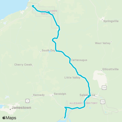 Seneca Transit System Irving to Steamburg map