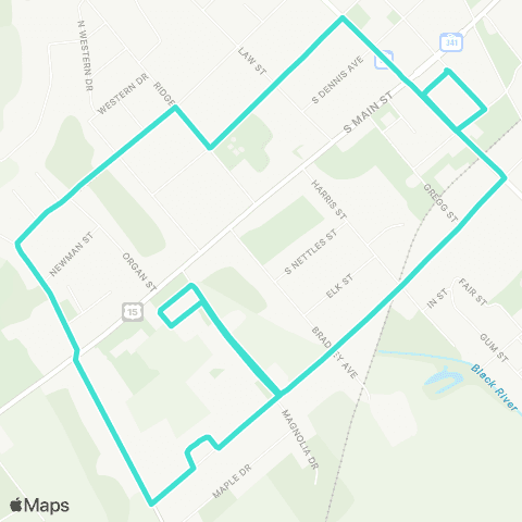 Santee Wateree RTA Lee County Trans - Loop 2 map