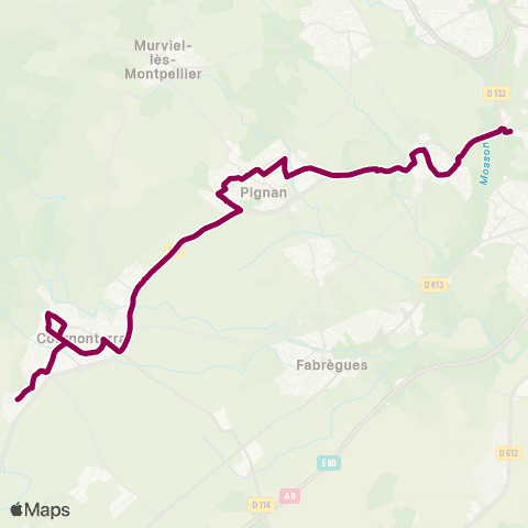 TaM Grés de Montpellier - Cournonsec map