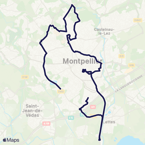 TaM Amigo map