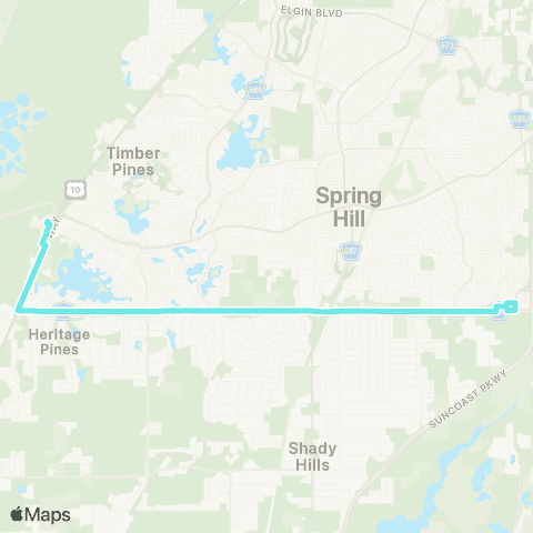 TheBus Route 8 map