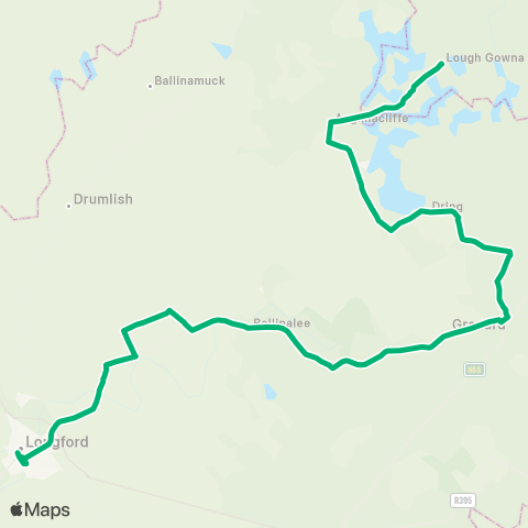 TFI Local Link Lough Gowna - Longford map