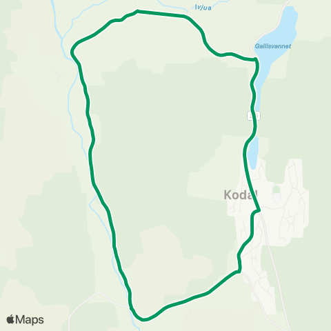 VKT - Vestfold Kollektivtrafikk Kodal-Tollehaugen-Kodal map