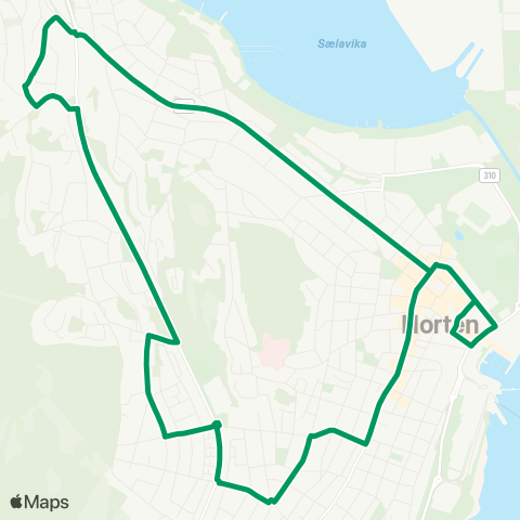 VKT - Vestfold Kollektivtrafikk Holtandalen map