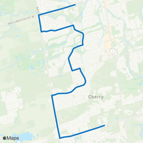 York Region Schools Cardinal Carter SS via Wellington map