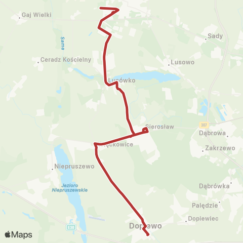 ZTM Poznań Tarnowo Pdg Termy - Dopiewo Dworzec Kolejowy|Dopiewo Dworzec Kolejowy - Tarnowo Pdg Termy map