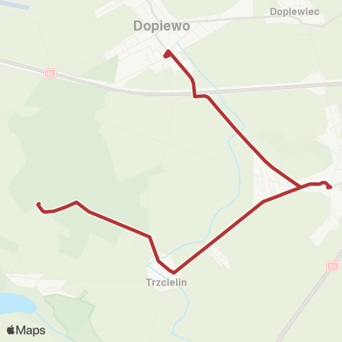ZTM Poznań Trzcielin Pętla - Dopiewo Dworzec Kolejowy|Dopiewo Dworzec Kolejowy - Trzcielin Pętla map